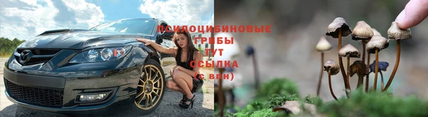 дмт Алзамай