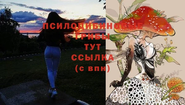 ешки Алексин