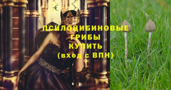 spice Абинск