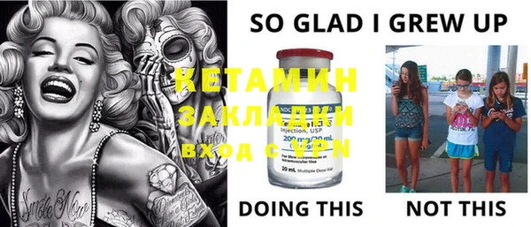 дмт Алзамай