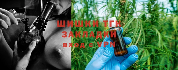 дмт Алзамай